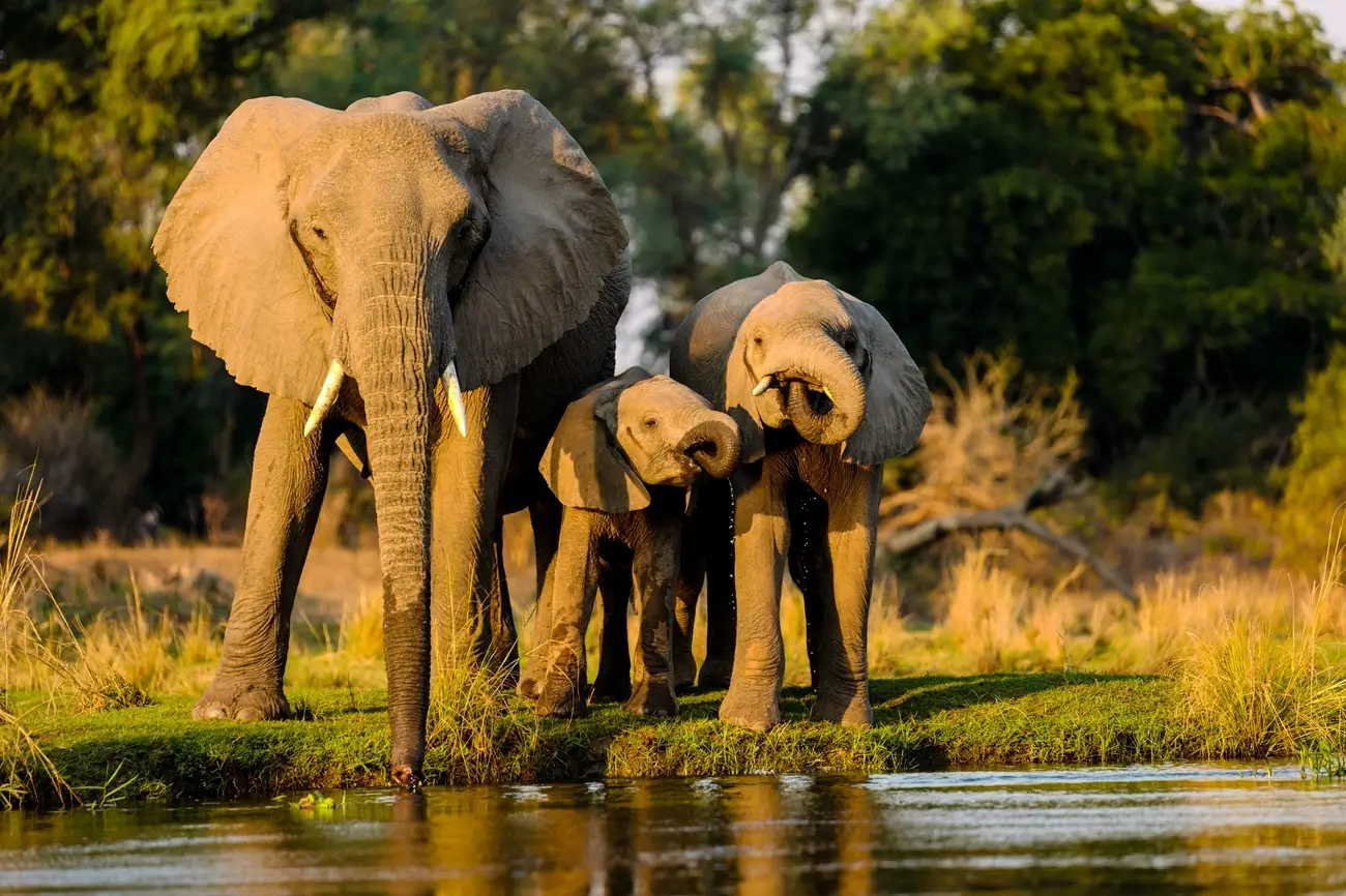 Tarangire National Park