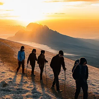 Image for choice number 2