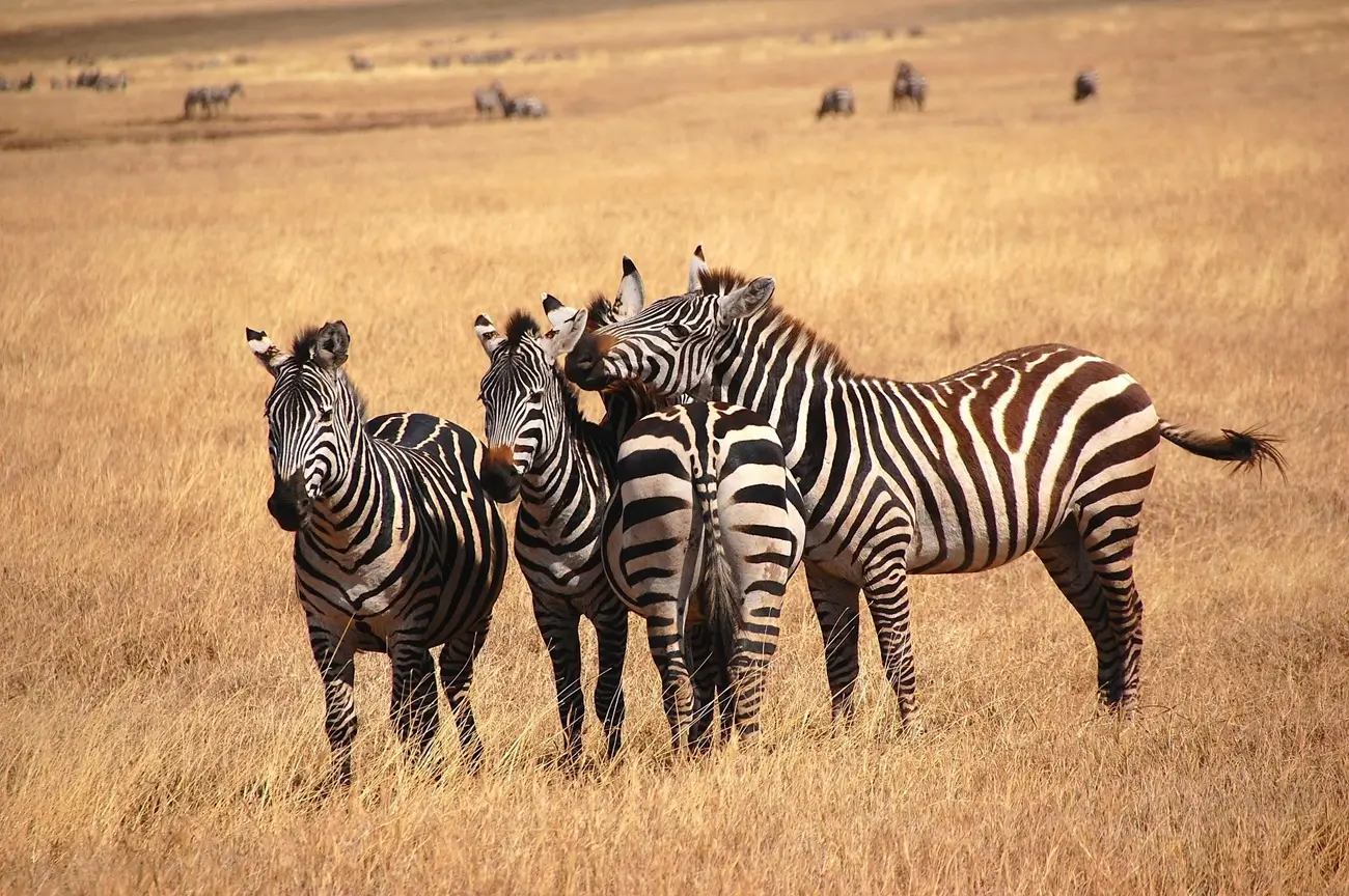 Serengeti National Park