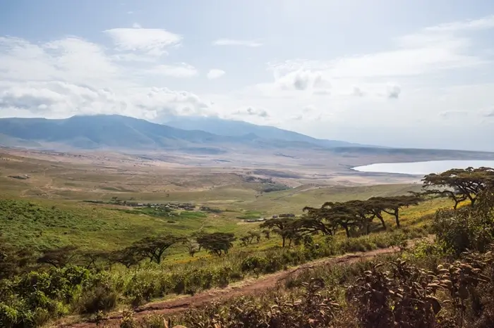 Serengeti Great Migration, Ngorongoro & Tarangire Safari