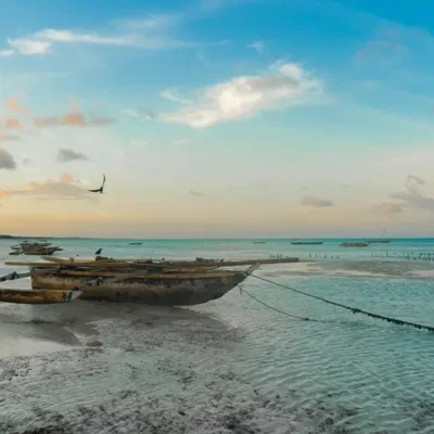 Image for choice number 4