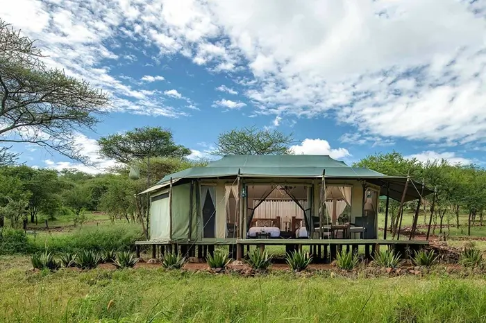 Ole Serai Luxury Camp - Seronera 1