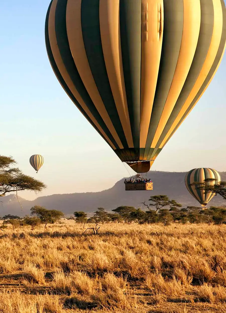 Hot Air Balloon