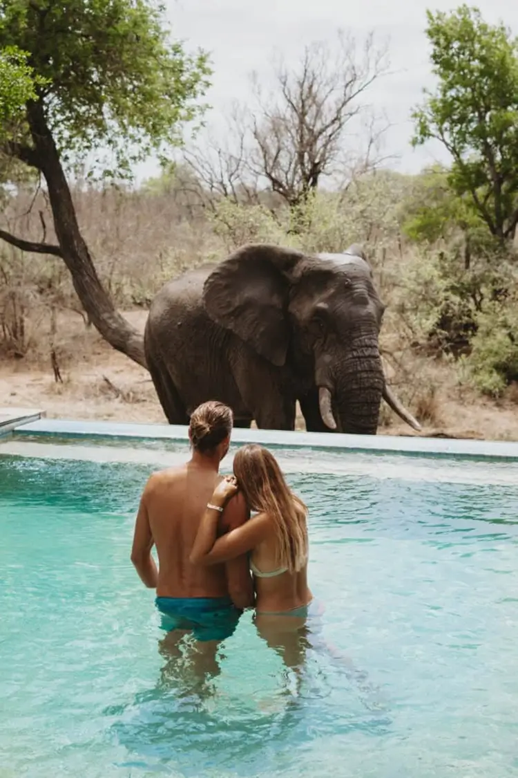 Exquisite & Luxury Safari Lodges