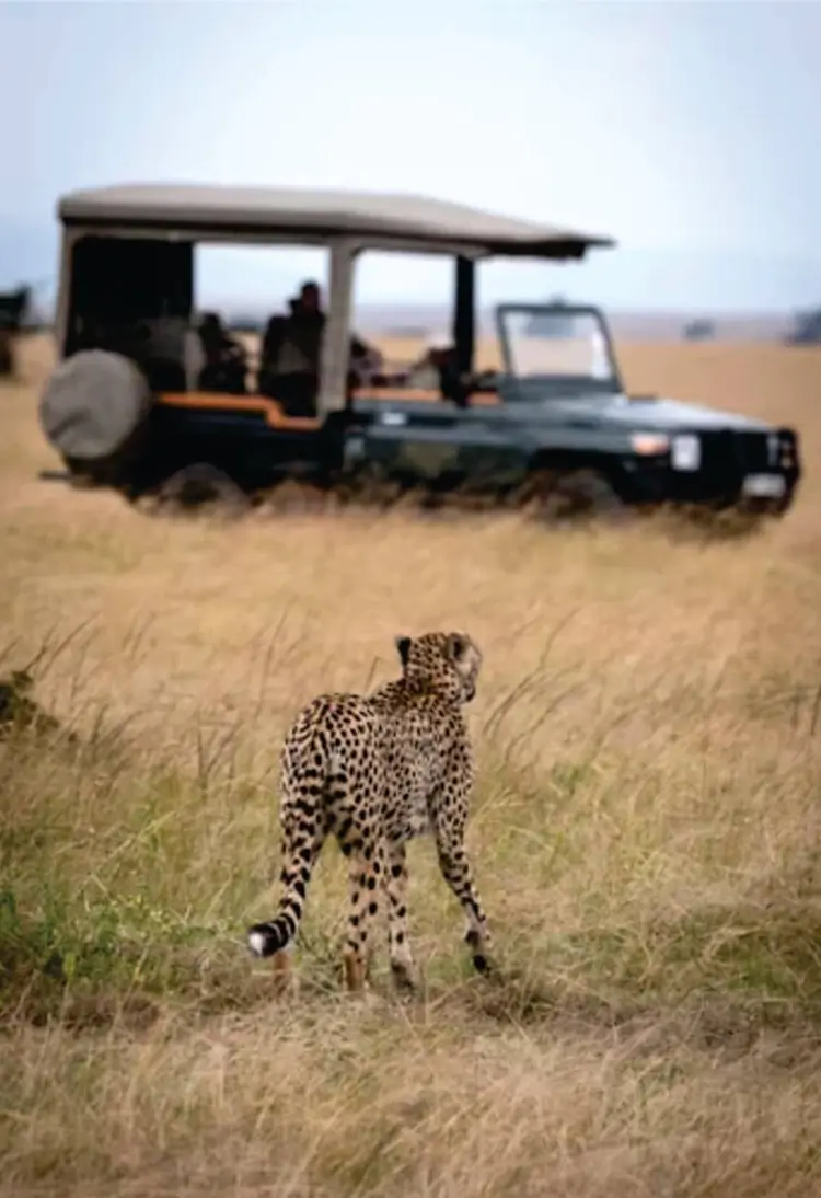 Private Luxury Safaris With Local Experts