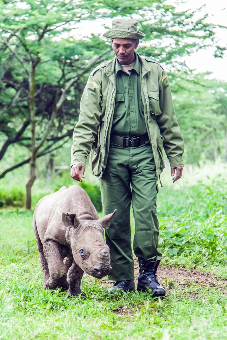 Wildlife Rescue & Management