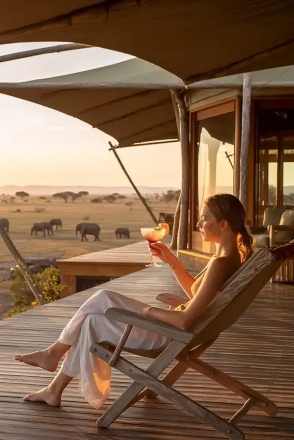 Safari Vehicle