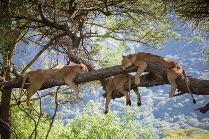Lake Manyara